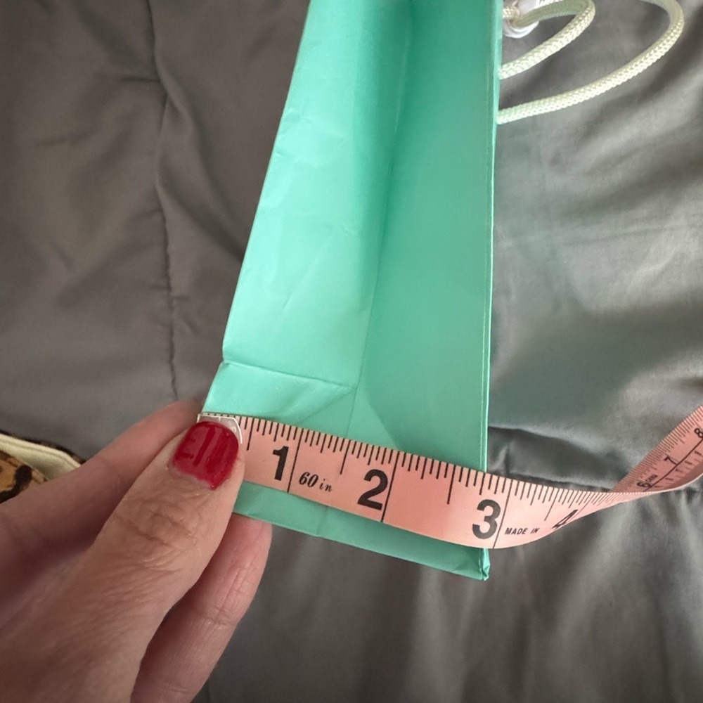 Tiffany & Co. Aqua Women's Bag - Picture 5 of 5